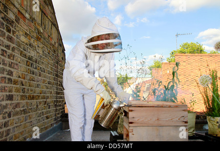 Elena Polisano hält einen Bienenstock der Honigbienen auf dem Dach des drei Hirschen Pub in Lambeth bei London Stockfoto