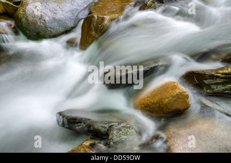 Wasserfälle in Little Pigeon River außerhalb Gatlinburg in den Great Smoky Mountains National Park Stockfoto