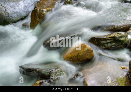 Wasserfälle in Little Pigeon River außerhalb Gatlinburg in den Great Smoky Mountains National Park Stockfoto