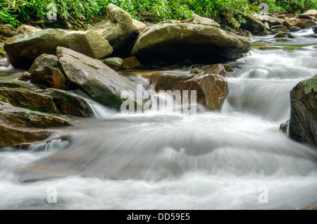 Wasserfälle in Little Pigeon River außerhalb Gatlinburg in den Great Smoky Mountains National Park Stockfoto