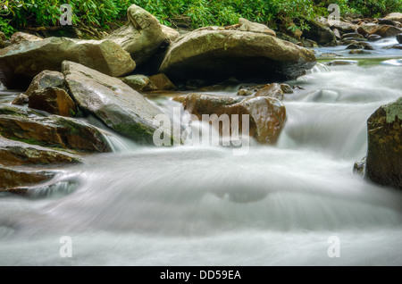 Wasserfälle in Little Pigeon River außerhalb Gatlinburg in den Great Smoky Mountains National Park Stockfoto