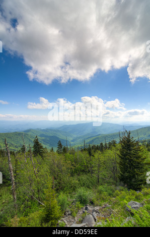 Die Aussicht vom Gipfel Clingmans Kuppel in den Great Smoky Mountains National Park Stockfoto