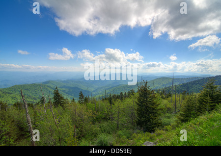 Die Aussicht vom Gipfel Clingmans Kuppel in den Great Smoky Mountains National Park Stockfoto