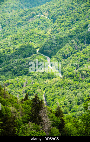 Wicklung durch den Great Smoky Mountains National Park Road Stockfoto