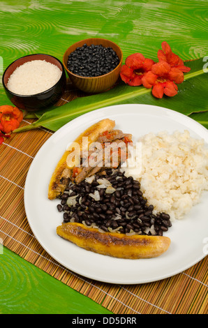 Pabellon Criollo, ein traditionelles Gericht der südamerikanischen Stockfoto