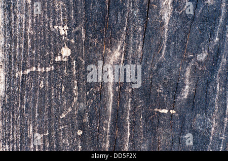 Alten distressed Holzstruktur mit Rissen. Stockfoto