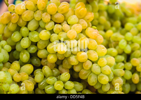 Nahaufnahme einer großen Gruppe von grünen Trauben Stockfoto