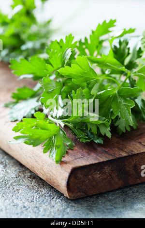 frische Petersilie Stockfoto