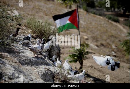 Silwan, Jerusalem, Palästina. 26. August 2013. Eine palästinensische wehende Fahne befindet sich neben der Höhle von Khaled al-Zeer al-Husaini, 39, im Osten Jerusalems arabische Viertel Silwan, 26. August 2013. Al-Husaini ist Vater von fünf Kinder Leben in einer Höhle, das war ein Stall für die Tiere, nach israelische Behörden seinen eigenen vier Wänden unter dem Vorwand der Gebäude ohne Genehmigung Kredit vor 3 Tagen abgerissen: Saeed Qaq/APA Images/ZUMAPRESS.com/Alamy Live News Stockfoto