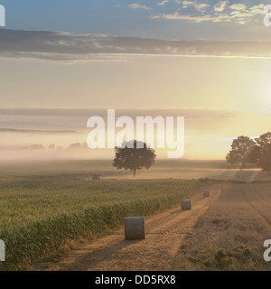 Die aufgehende Sonne leuchtet die Nebel und wirft lange Schatten durch den Nebel des Haybales und eine kleine Gruppe von Bäumen. Stockfoto