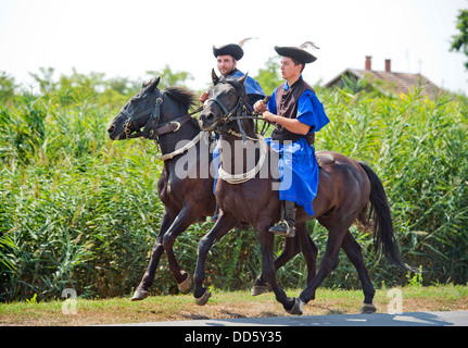 Traditionelle ungarische "Csikos" auf einem Pferd-Festival in der ungarischen Stadt Devavanya Aug 2013 Stockfoto