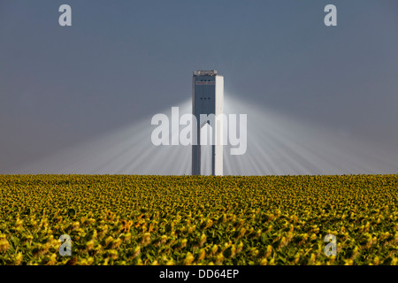 Die Planta Solar 20 (PS20) thermische SOLAR TOWER ist eine Solarthermie-Anlage in Sanlucar la Mayor in der Nähe von Sevilla in Spanien Stockfoto