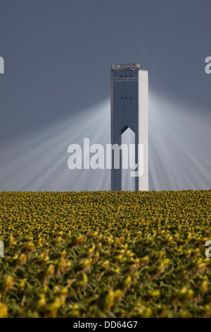 Die Planta Solar 20 (PS20) thermische SOLAR TOWER ist eine Solarthermie-Anlage in Sanlucar la Mayor in der Nähe von Sevilla in Spanien Stockfoto