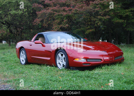 1999-corvette Stockfoto