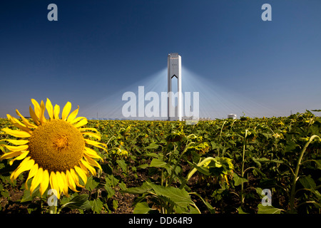 Die Planta Solar 20 (PS20) thermische SOLAR TOWER ist eine Solarthermie-Anlage in Sanlucar la Mayor in der Nähe von Sevilla in Spanien Stockfoto