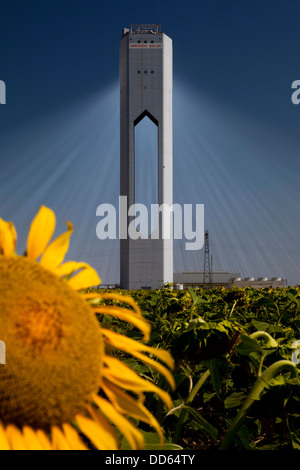 Die Planta Solar 20 (PS20) thermische SOLAR TOWER ist eine Solarthermie-Anlage in Sanlucar la Mayor in der Nähe von Sevilla in Spanien Stockfoto