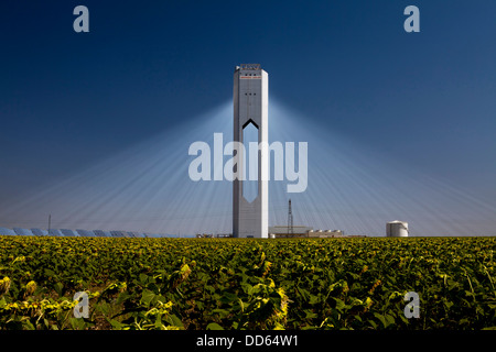 Die Planta Solar 20 (PS20) thermische SOLAR TOWER ist eine Solarthermie-Anlage in Sanlucar la Mayor in der Nähe von Sevilla in Spanien Stockfoto