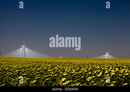 Die Planta Solar 20 (PS20) thermische SOLAR TOWER ist eine Solarthermie-Anlage in Sanlucar la Mayor in der Nähe von Sevilla in Spanien Stockfoto