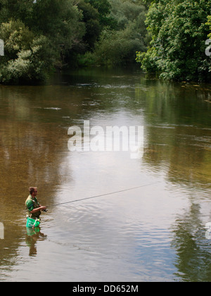 Angeln im Fluss Avon, Fordingbridge, New Forest, Hampshire, UK 2013 Mann Stockfoto