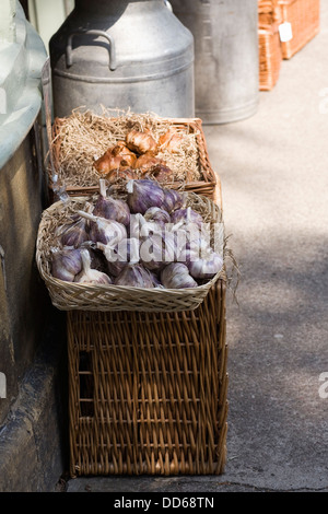 Allium Sativum. Körbe mit Knoblauch zu verkaufen. Stockfoto