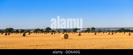 Heu-Kautionen in einem Feld in Pickering, North Yorkshire, UK Stockfoto