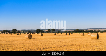 Heu-Kautionen in einem Feld in Pickering, North Yorkshire, UK Stockfoto