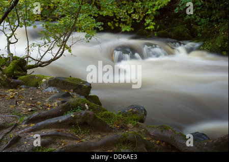Schnell fließende Wasser flussabwärts in Richtung Wasserfall im Lake District. Stockfoto