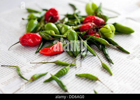 Haufen von gemischt Chili Paprika, auf eine Zeitung Hintergrund. Seitenansicht. Vogelperspektive, Scotch Tüll-, Jalapeños. Stockfoto