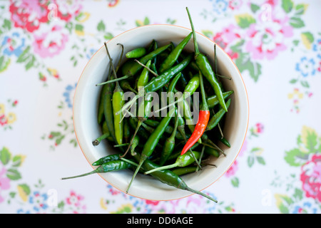 Schale des Vogels Auge Chilischoten auf Flower print Hintergrund. Top-down Ansicht. Stockfoto