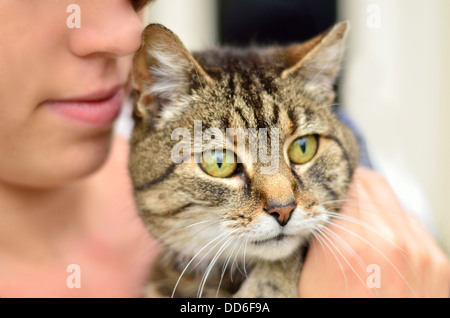 Katze mit Besitzer hautnah stripey braune Augen Stockfoto