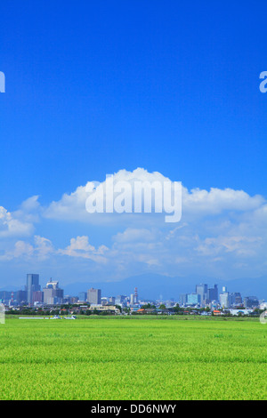 Reisfeld und Stadtbild Sendai, Präfektur Miyagi Stockfoto