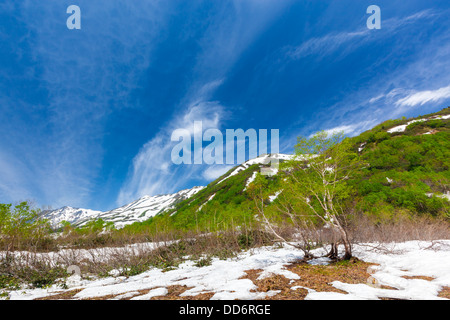 Nagano Hakuba-Gebirge Stockfoto