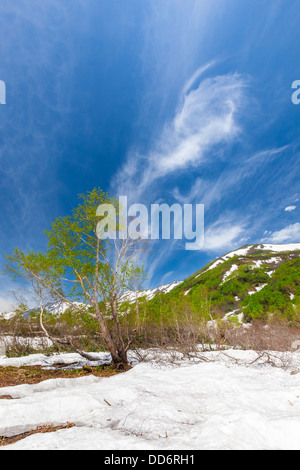 Nagano Hakuba-Gebirge Stockfoto