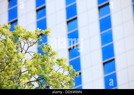 Blaue und weiße moderne Bürogebäude. Leben in der Stadt. Stockfoto