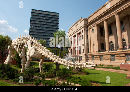 Das National Museum of Natural History, Pretoria, Südafrika Stockfoto