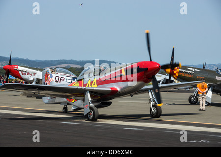 18.08.2013, Santa Rosa, Kalifornien. P-51 Mustangs Line-up zum Abheben auf der "Wings über Sonoma" Airshow. Stockfoto