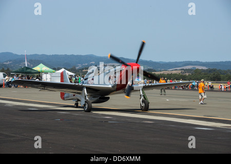 18.08.2013, Santa Rosa, Kalifornien. P-51 Mustangs Line-up zum Abheben auf der "Wings über Sonoma" Airshow. Stockfoto