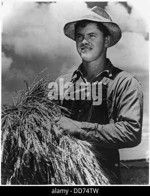 Alton Lee trägt einen Schock von Weizen über die breiten Felder der Saugstad Farm, wo er von Sonnenaufgang bis lange... - 196265 Stockfoto