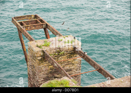 South Haven, Skokholm, South Pembrokeshire, Wales, Vereinigtes Königreich Stockfoto