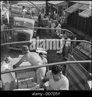 Eine Szene, die die Ladung des Lkws während der Schließung des Jerome Relocation Center in Denson, Arkansas, zeigt, wie der Evakuierungsprozess erfolgt. Stockfoto