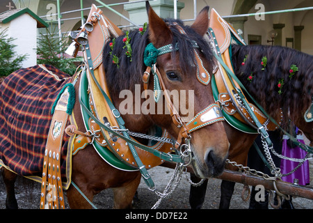 Leonhardifahrt in Benediktbeuren, Oberbayern, Deutschland, Nur-Redaktionell-Nutzbar, Editorial-only, keine-Model-release Stockfoto