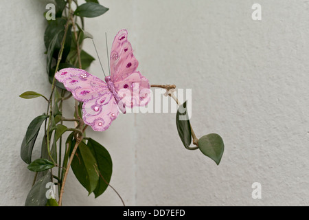 Gestaltete rosa Schmetterling auf indoor grün blätterte Rebe Stockfoto