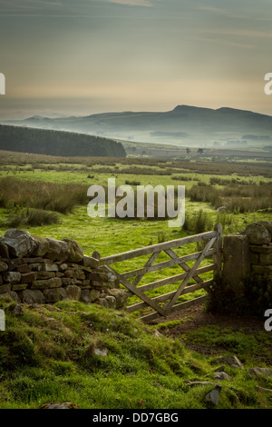 Am frühen Morgennebel auf dem Hadrianswall weit weg Stockfoto