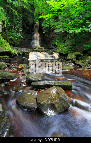 Mill Gill Force in der Nähe von Askrigg in Wensleydale, North Yorkshire, Yorkshire Dales National Park, England, UK. Stockfoto