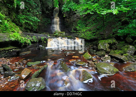 Mill Gill Force in der Nähe von Askrigg in Wensleydale, North Yorkshire, Yorkshire Dales National Park, England, UK. Stockfoto