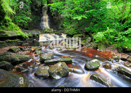 Mill Gill Force in der Nähe von Askrigg in Wensleydale, North Yorkshire, Yorkshire Dales National Park, England, UK. Stockfoto