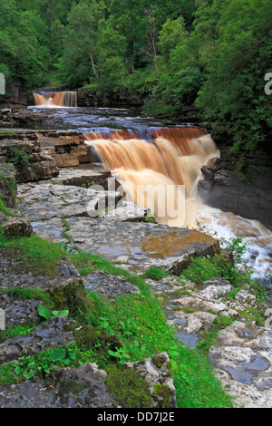 Der Fluß Swale bei Kisdon Force in der Nähe von Keld, North Yorkshire, Yorkshire Dales National Park, England, UK. Stockfoto