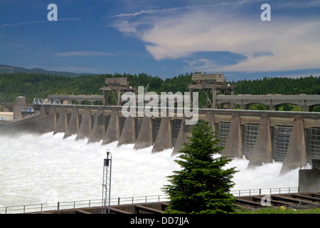 Bonneville Lock und Damm erstreckt sich über den Columbia River zwischen Oregon und Washington, USA. Stockfoto