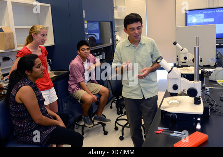 Ph.D Lehrassistent Alex DeLencastre lehrt Developmental Biology Lab in Yale Summer School. Stockfoto