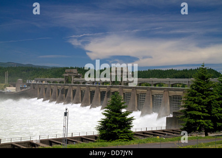 Bonneville Lock und Damm erstreckt sich über den Columbia River zwischen Oregon und Washington, USA. Stockfoto